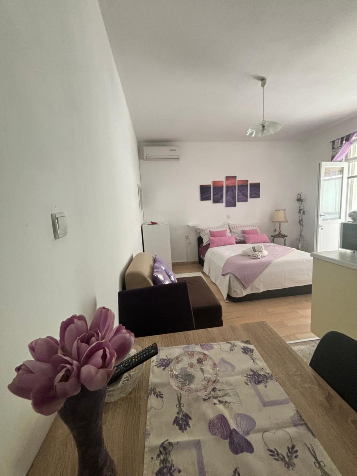 Apartments Ivana Bibinje Dış mekan fotoğraf